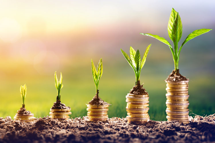 Barfield Financial Advisors | Mortgage, Investment & Insurance Advice